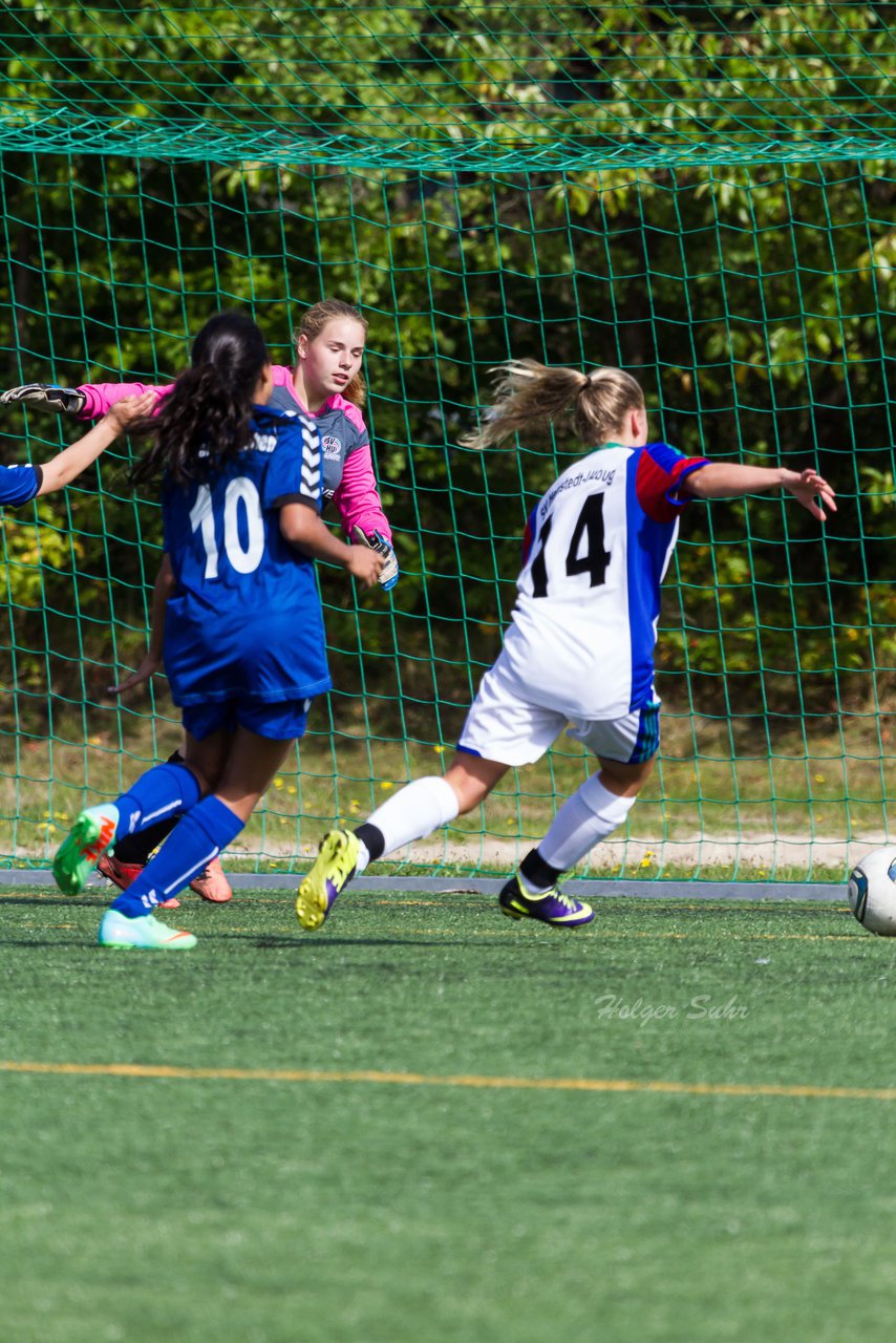 Bild 168 - B-Juniorinnen SV Henstedt Ulzburg - FSC Kaltenkirchen : Ergebnis: 3:2